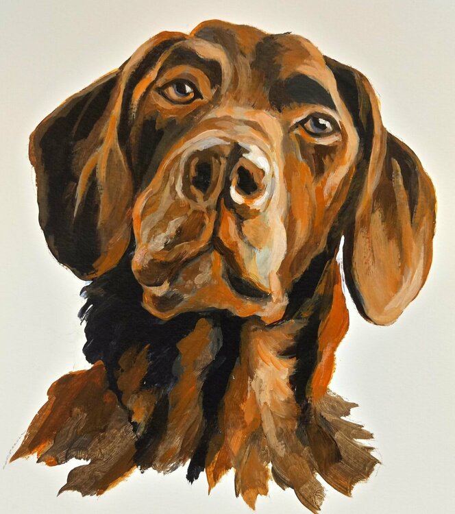 Oscar the Dog by Silvia Vassileva