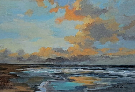 Oceanside Sunset by Silvia Vassileva