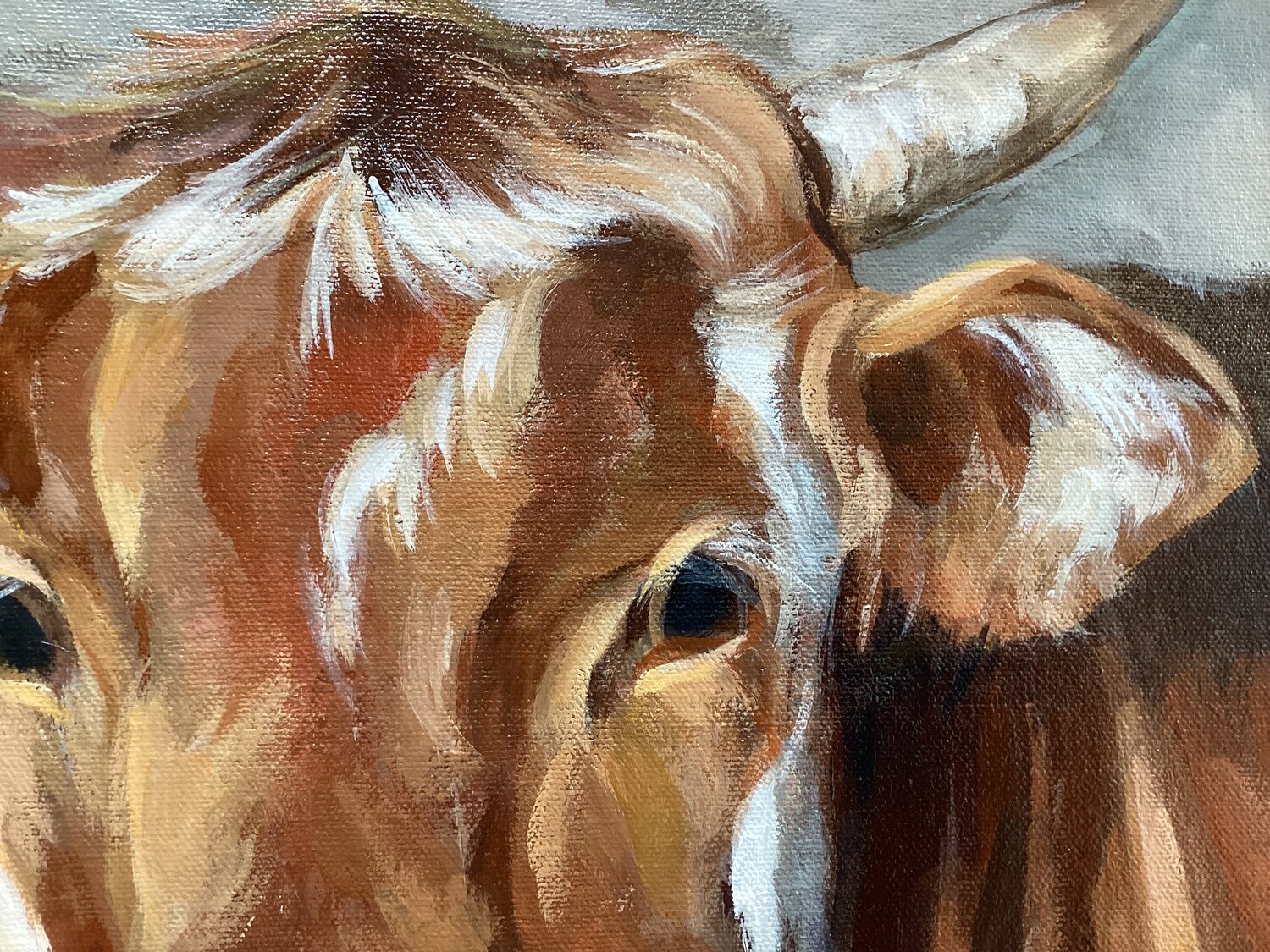 Brown Cow - Detail 3