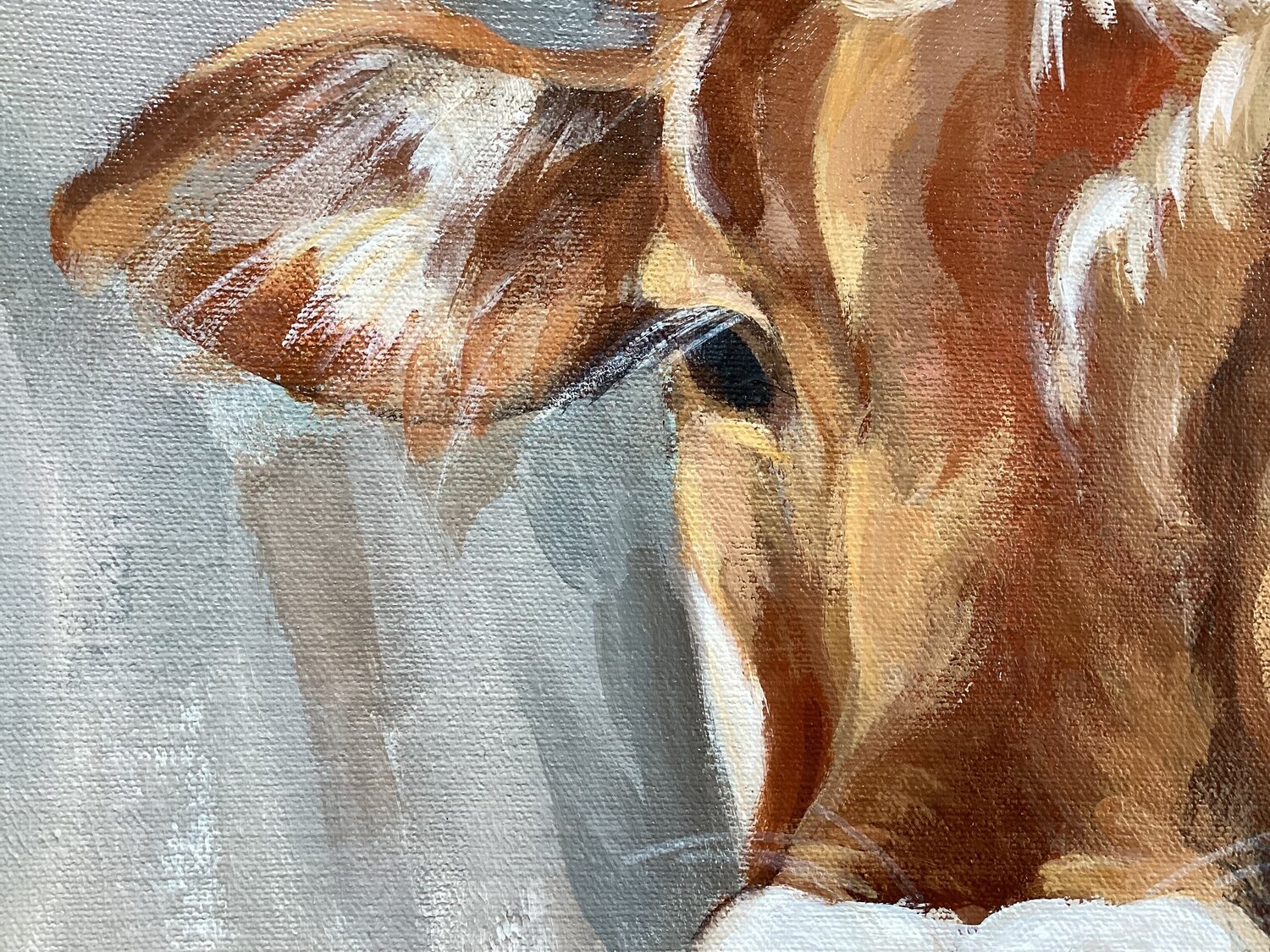 Brown Cow - Detail 2