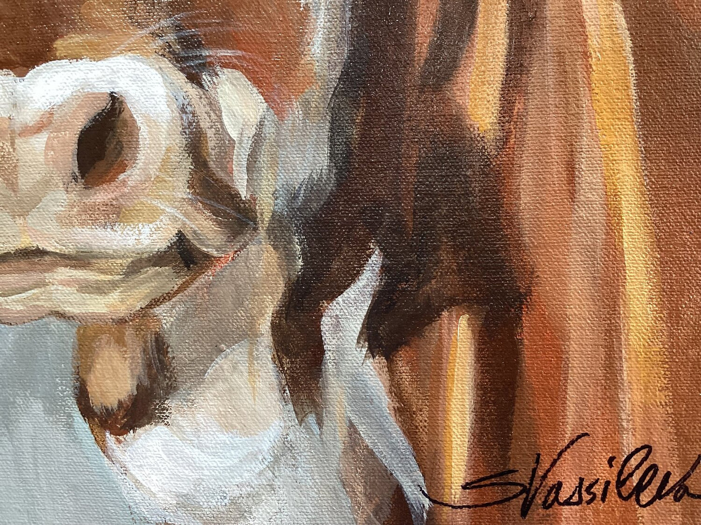 Brown Cow - Detail 1
