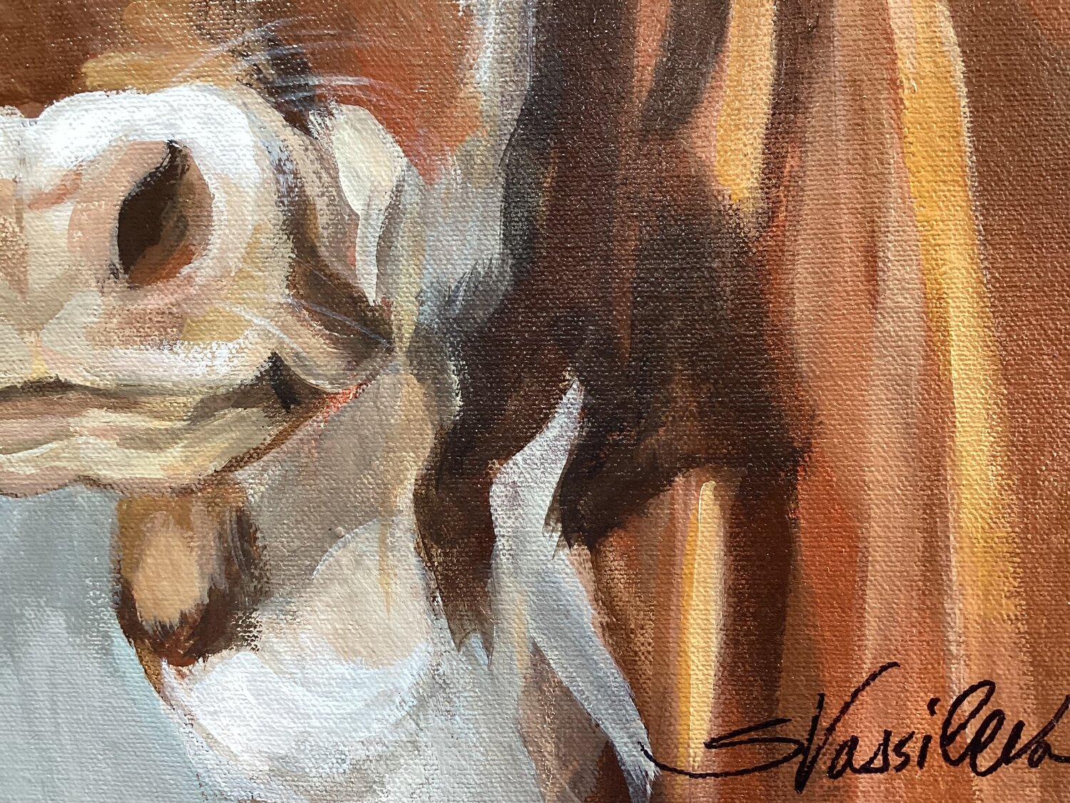 Brown Cow - Detail 1
