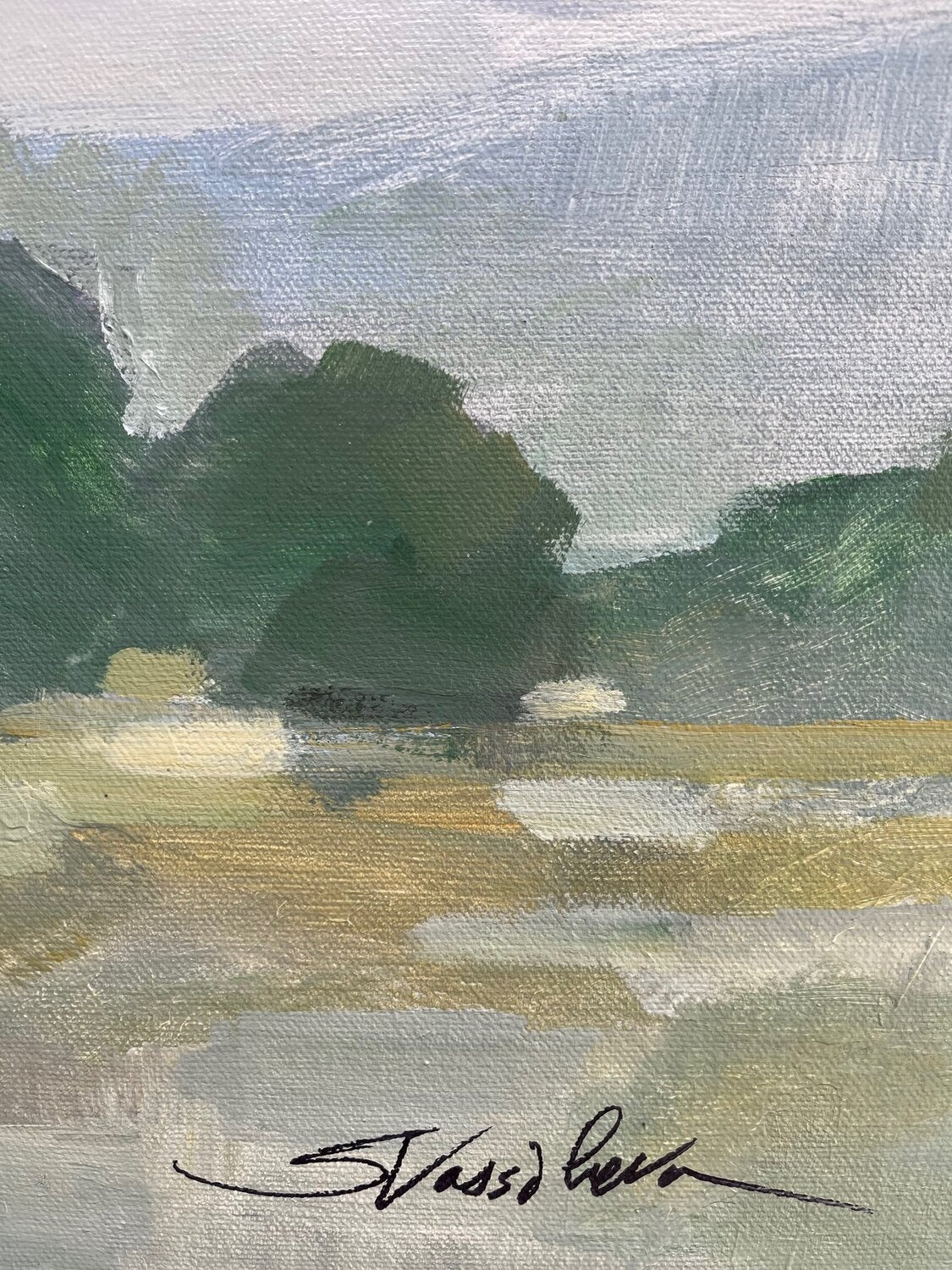 White Longhorn Cow - Detail 1