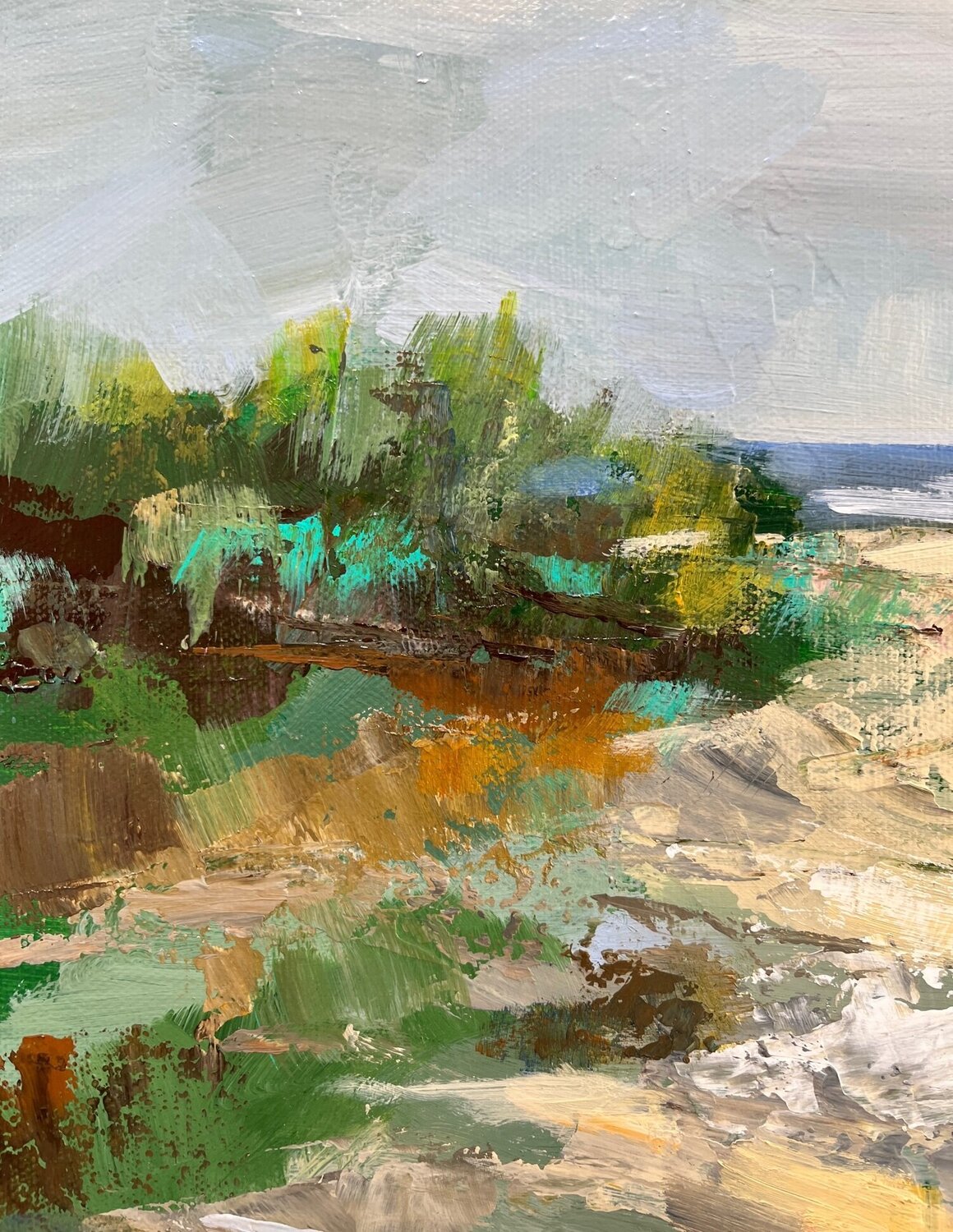 Grassy Beach - Detail 1