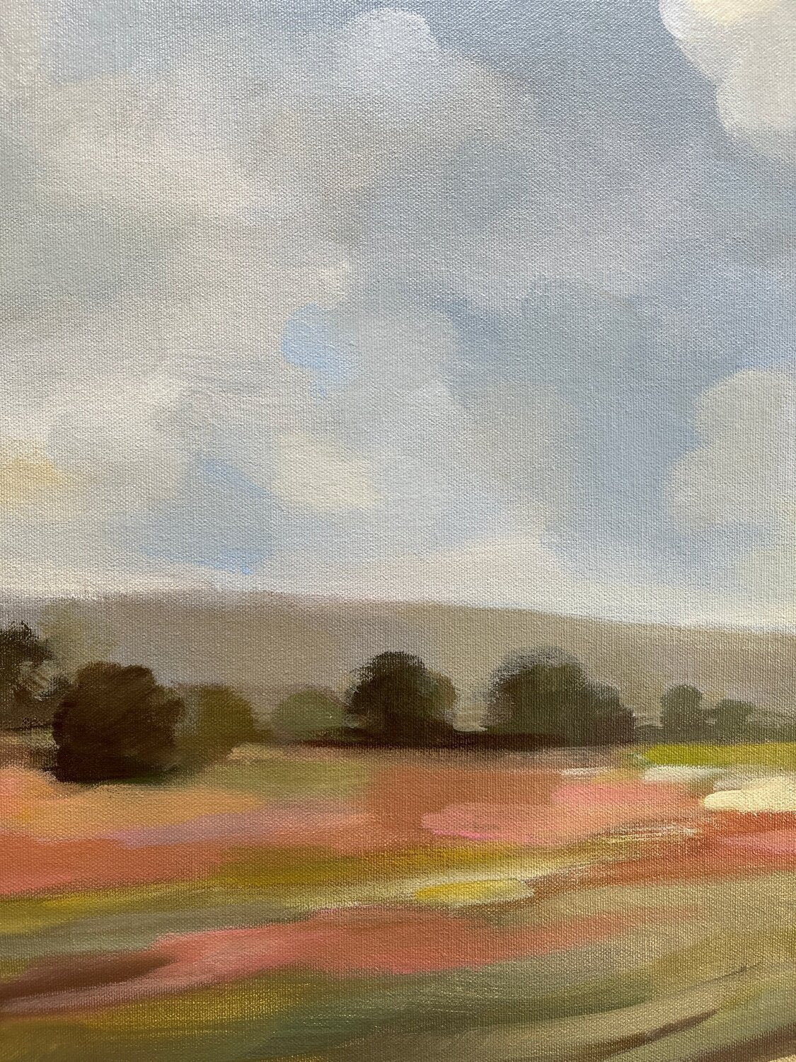 Wide Field - Detail 2