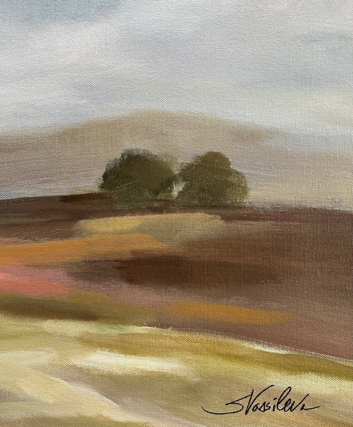 Wide Field - Detail 1