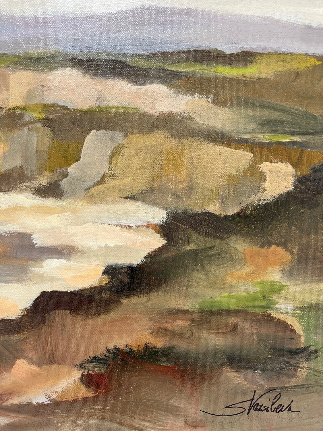 Rocky Coast - Detail 3