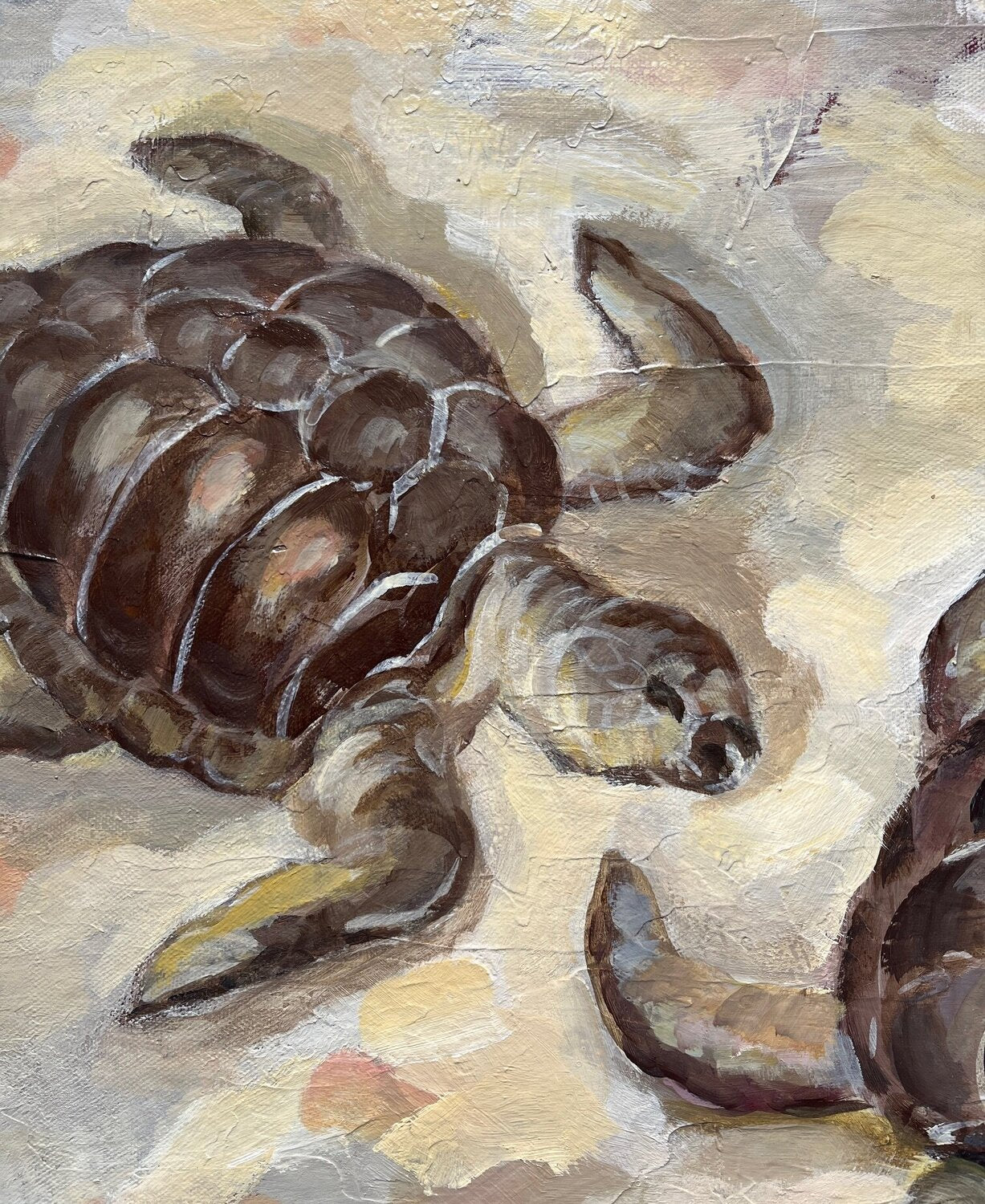 Sea Turtles - Detail 2