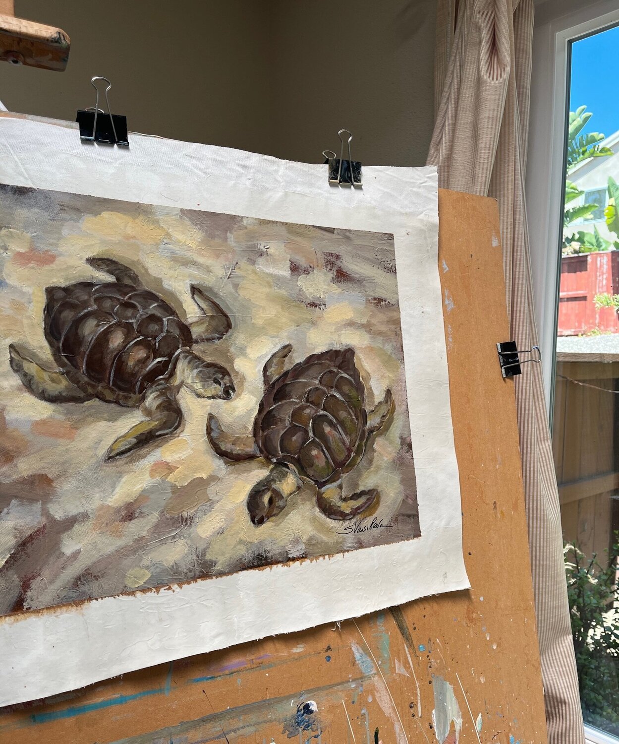 Sea Turtles - Detail 3