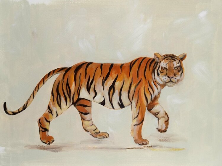 Walking Tiger by Silvia Vassileva