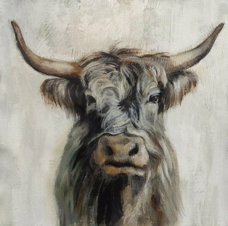 Graphic Highland Cow by Silvia Vassileva