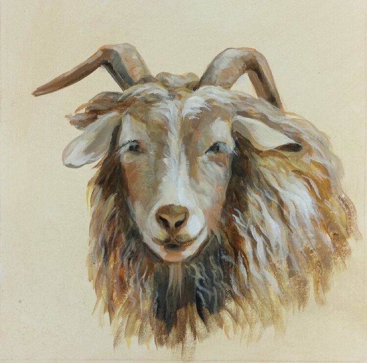Highland Animals II by Silvia Vassileva