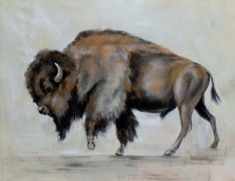 Bronze Buffalo by Silvia Vassileva
